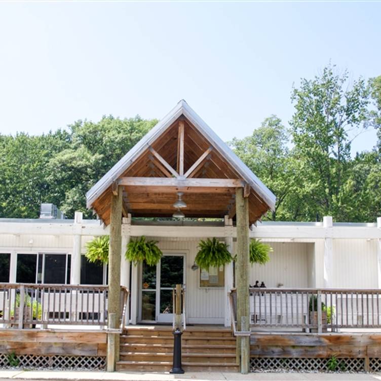 Sandy's Beach day will be played with the roof open tonight