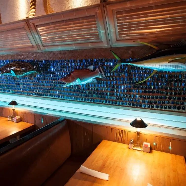 Cool'a Fish Bar Restaurant Palm Beach Gardens, FL OpenTable