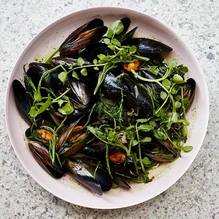 Restaurante Tequila Daisy Barangaroo, AUNSW OpenTable