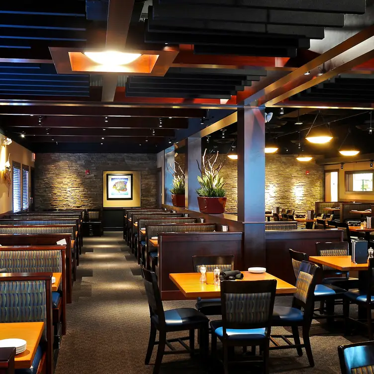 Dining Area - Coastal Grille, Reading, PA