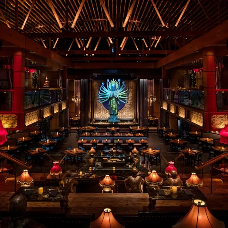 TAO Asian Bistro - Los Angeles, Los Angeles, CA TAO Asian Bistro - Los Angeles, Los Angeles, CA