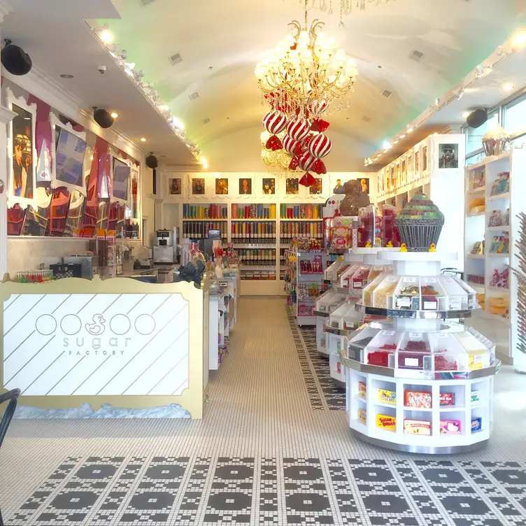 Sugar Factory Rosemont Restaurant Rosemont, , IL OpenTable