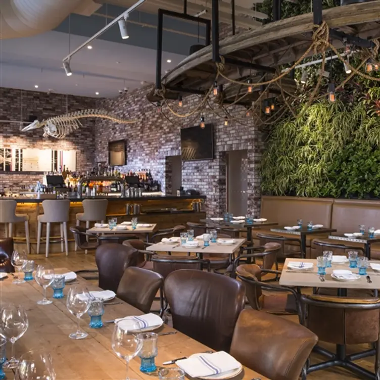 Herringbone - Waikiki, Honolulu, HI