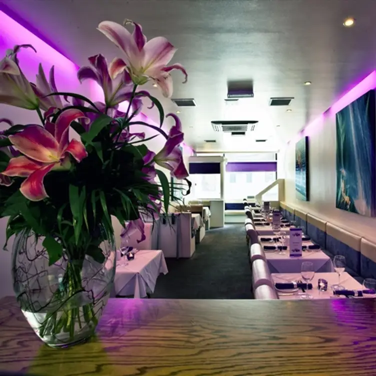 Thai Orchid, Glasgow, 