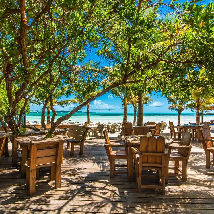 Bugaloo's Conch Crawl，ProvidencialesProvidenciales