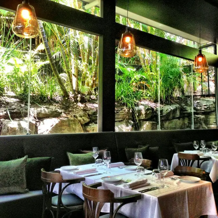 Locale Restaurant and Bar Noosa, Noosa Heads, AU-QLD Locale Restaurant and Bar Noosa, Noosa Heads, AU-QLD