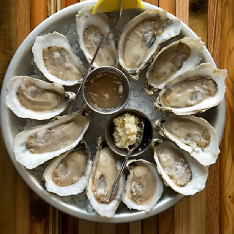 Oyster Oyster - RockSalt-Charlotte, Charlotte, NC