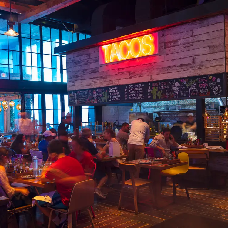 Tacology, Miami, FL