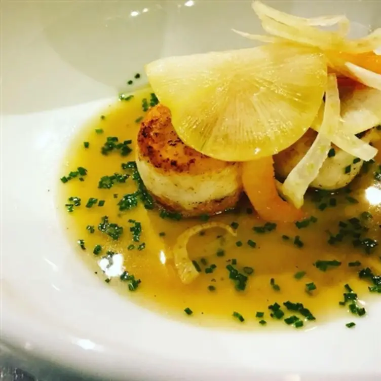 Otis Restaurant Updated 2024, Contemporary American Restaurant in