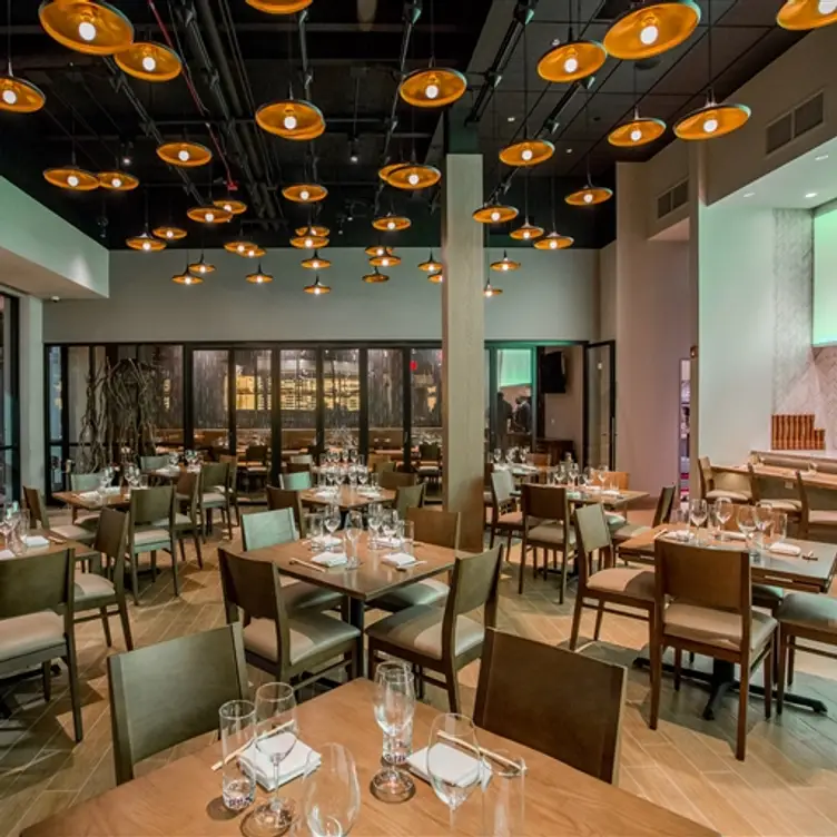 Roka Akor - Oak Brook Restaurant - Oak Brook, IL | OpenTable