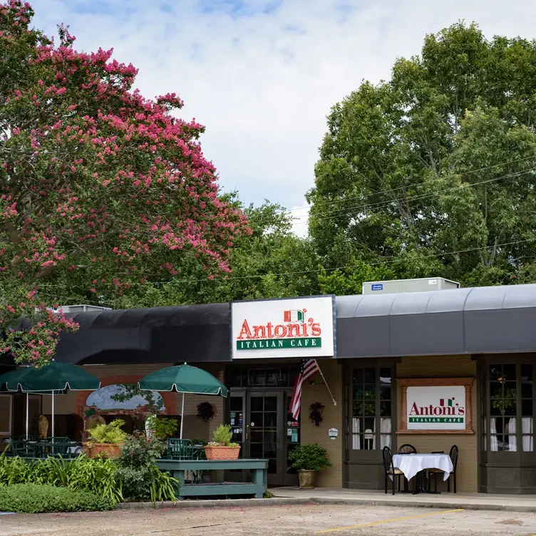 Antoni's Italian Cafe - Antoni's Italian Cafe, Lafayette, LA