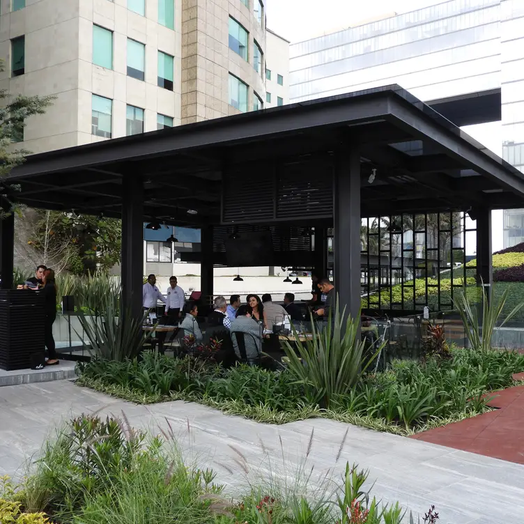 Barrio Santa Fe - Sliders - Barrio Santa Fe, Ciudad de México, CDMX