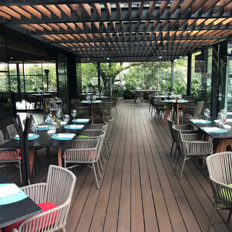 Terraza - Cantina La Reforma Uno, Ciudad de México, CDMX