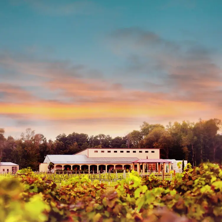 Los Pinos Ranch Vineyards, Pittsburg, TX