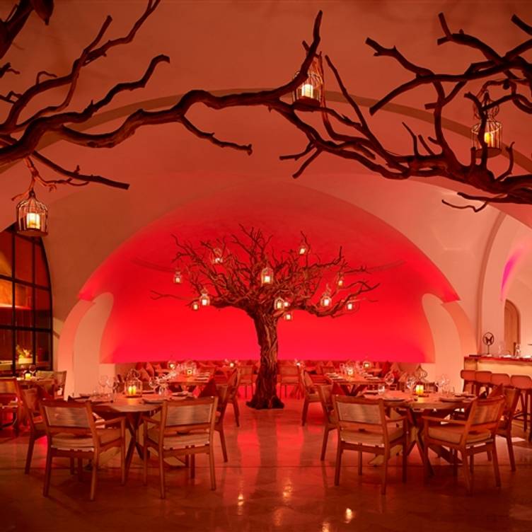 Arbol at Las Ventanas Restaurant - San Jose del Cabo, BCS | OpenTable