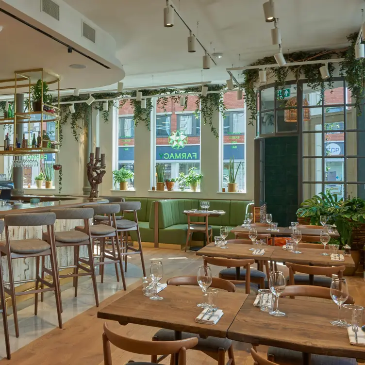 Farmacy, London, 