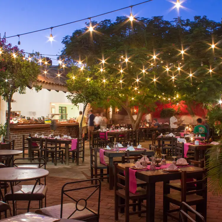 Los Tres Gallos, Cabo San Lucas, BCS