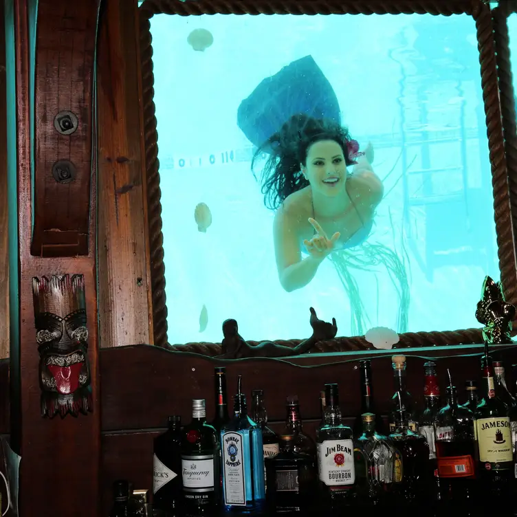 World Famous Wreck Bar- B Ocean Resort & Live Mermaid Show Restaurant ...