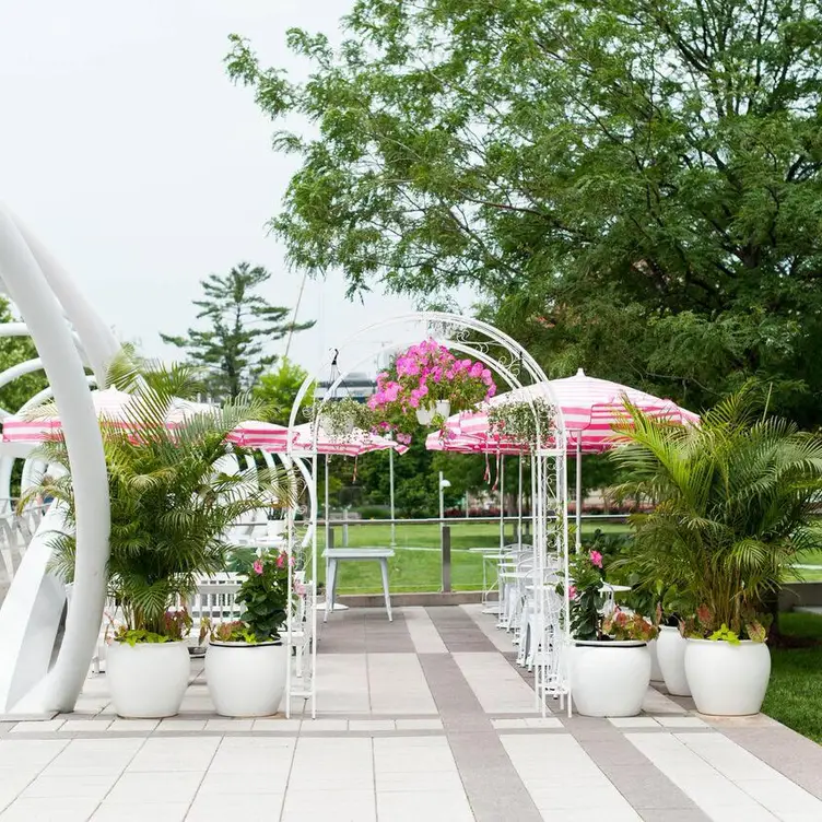 Rosé Garden - Permanently Closed, Washington, DC