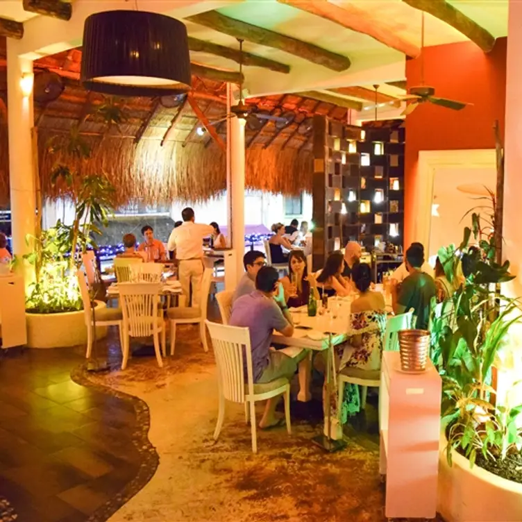 La Casa del Agua - Contemporary Mexican Cuisine, Playa del Carmen, ROO