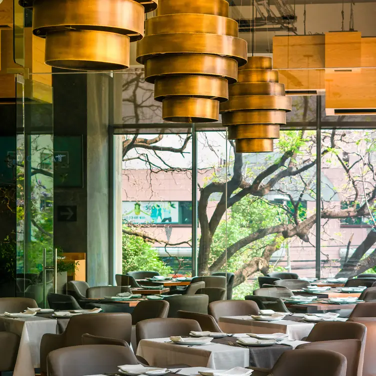 Cassatt - Cassatt, Ciudad de México, CDMX