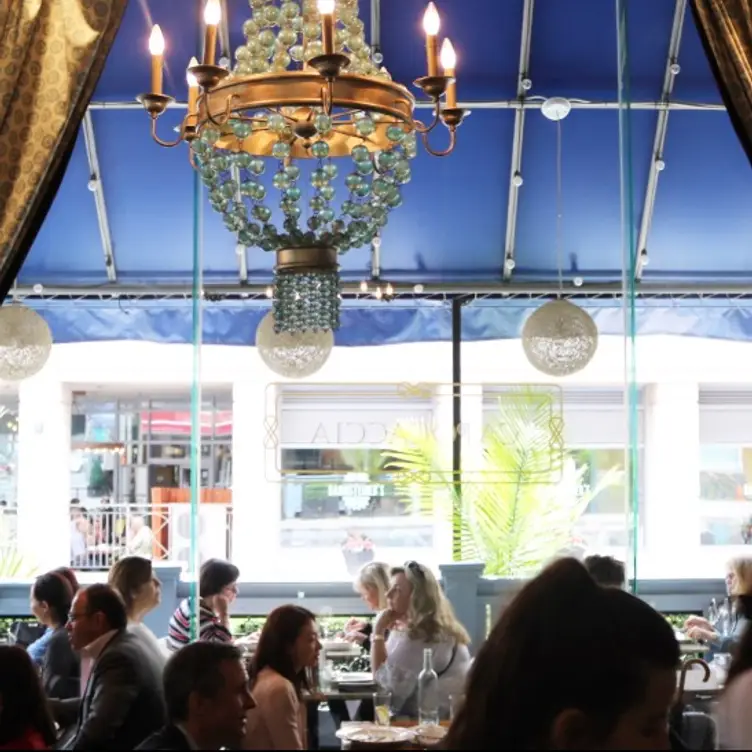 Photo --, Pm Photo --, Pm - Capocaccia Trattoria, Toronto, ON
