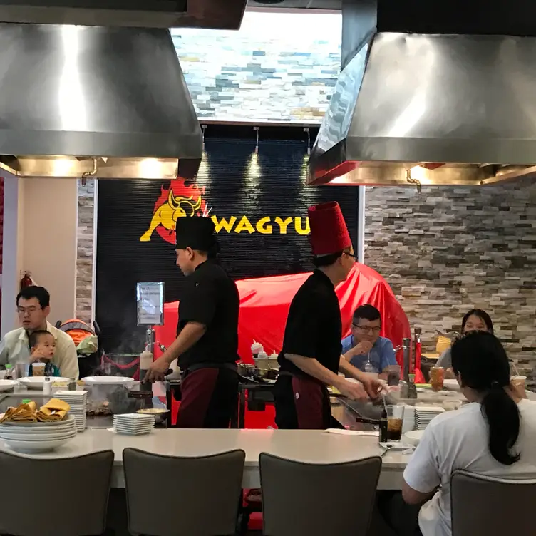 Wagyu Hibachi Sushi Bar, Houston, TX