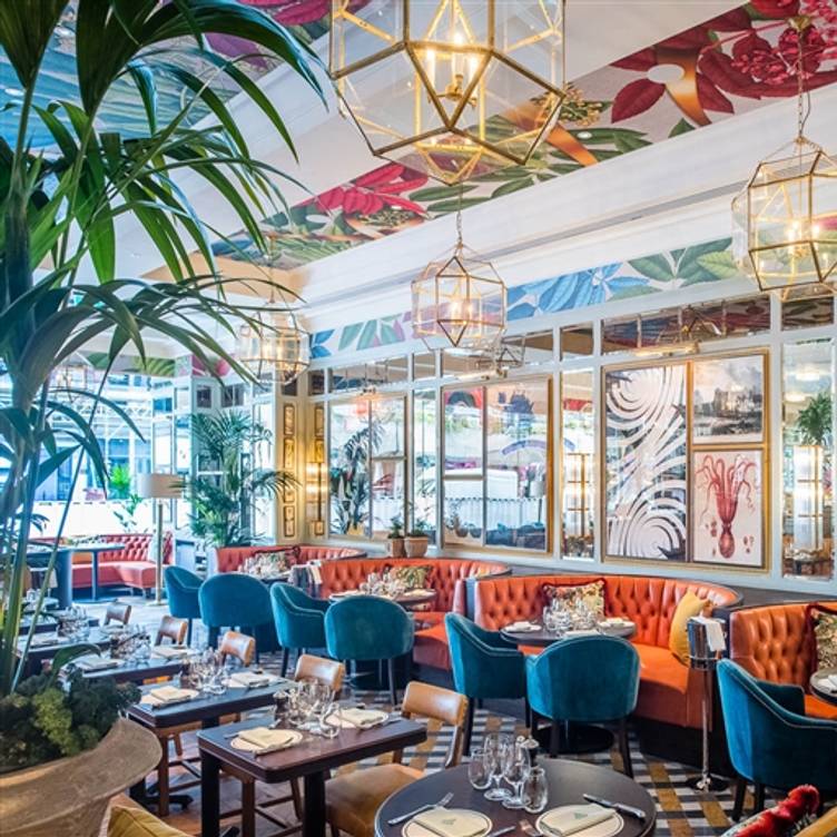 The Ivy Dawson Street Restaurant Dublin Co Dublin Opentable