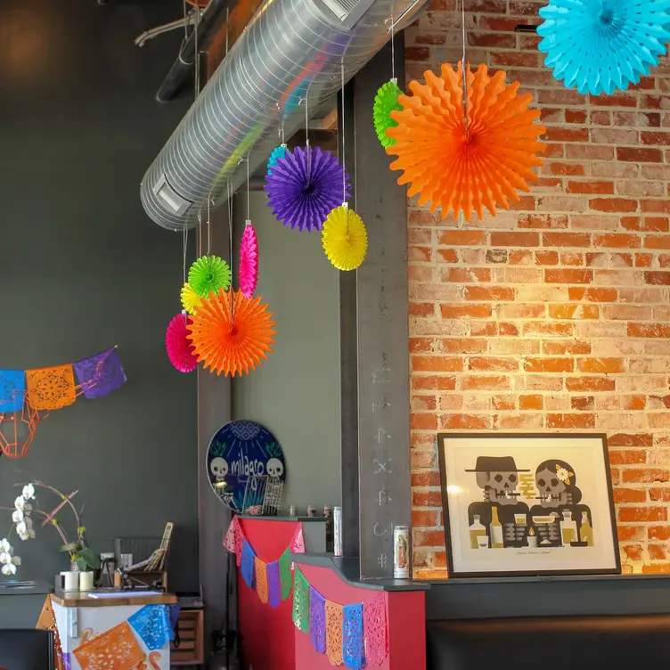 Ot Cinco Decor - El Jefe CO Denver