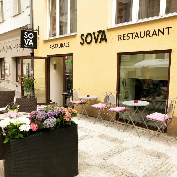 SOVA - SOVA, 2-Vinohrady, Prague