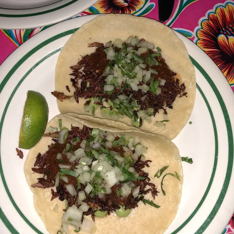 Taqueria Amor Manayunk Restaurant Philadelphia, PA OpenTable