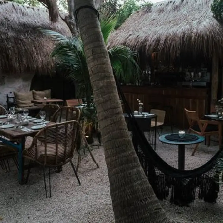Vucciria, Tulum, ROO