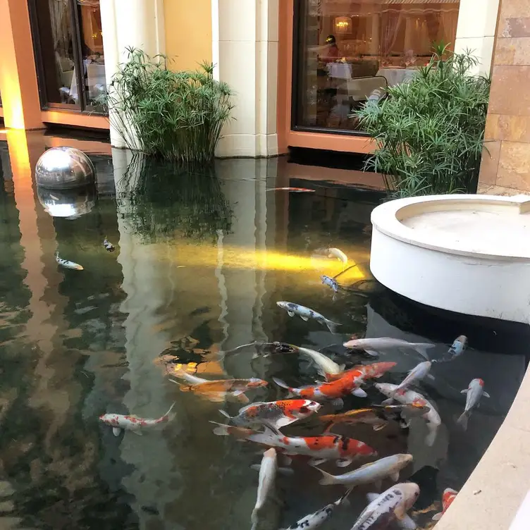 Costa di Mare - Wynn Las Vegas - Permanently Closed, Las Vegas, NV