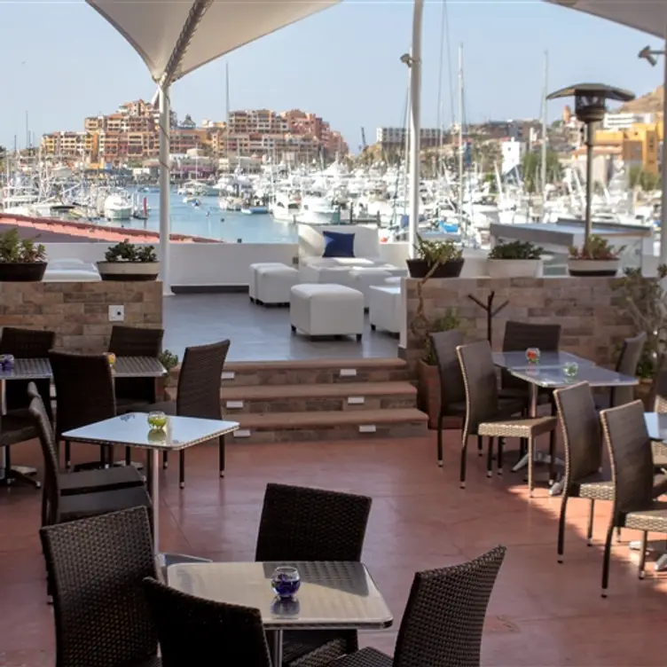 The Roof Food and Wine, Cabo San Lucas, BCS