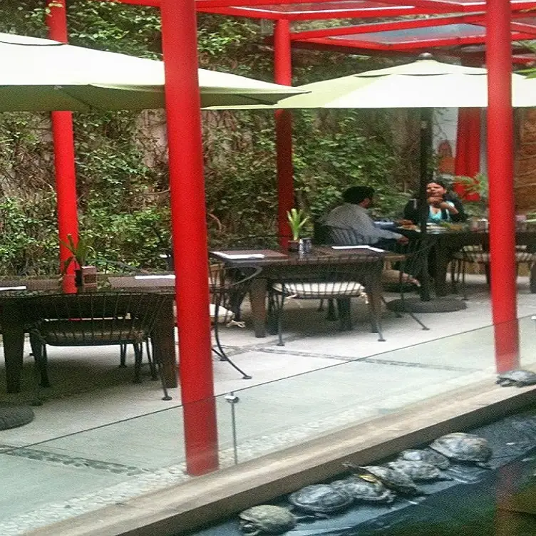 N - Shizo Lounge Restaurant BI CDMX Ciudad de México