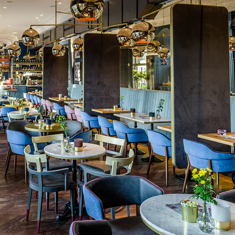 Restaurant Wilma Wunder, Dresden, SN Restaurant Wilma Wunder, Dresden, SN