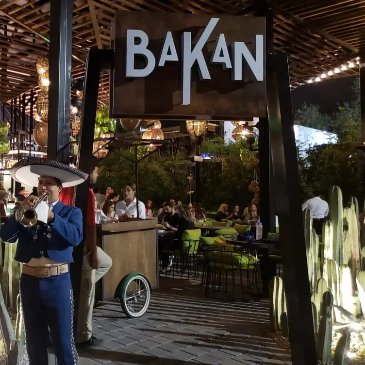 Bakan, Miami, FL