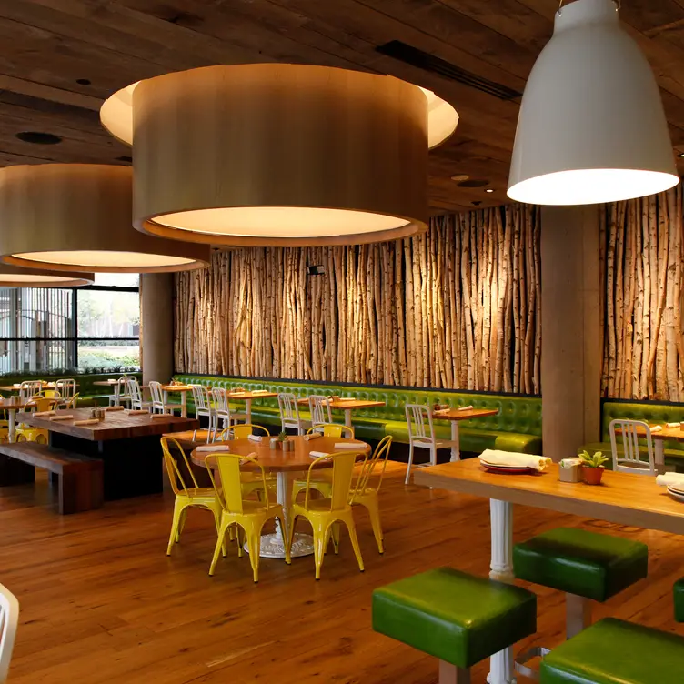 True Food Kitchen - Cherry Creek