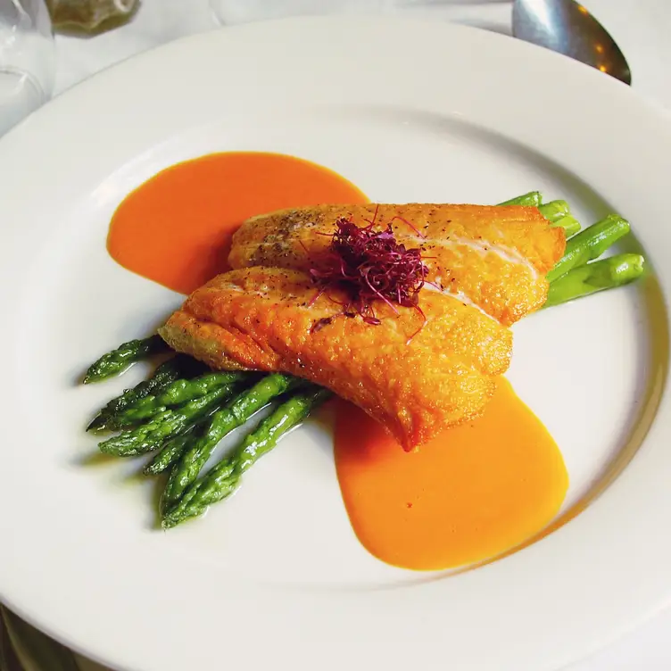 Fish Carrot - Spring Mill Cafe，PAConshohocken