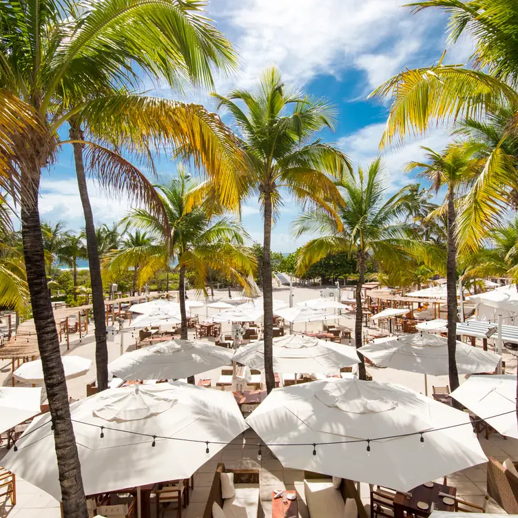 Nikki Beach，FLMiami Beach