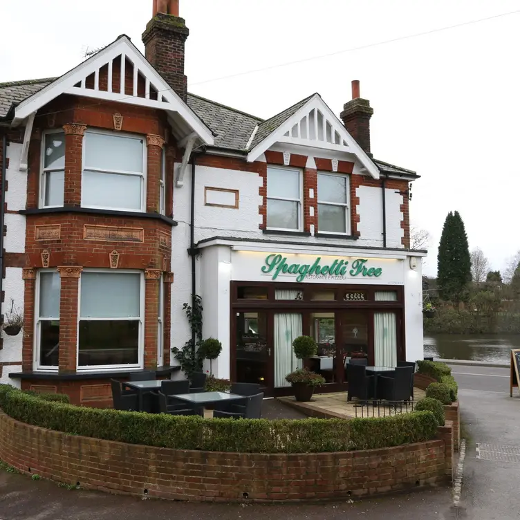 Spaghetti Tree - Walton on the Hill, Walton-on-the-Hill, Surrey