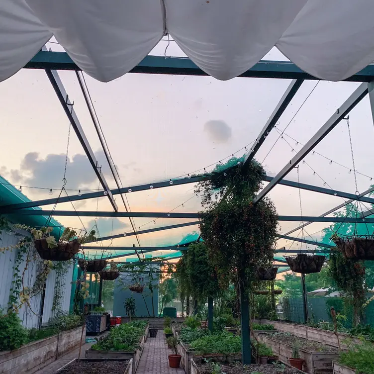 The Brasserie Grand Cayman Restaurant Town, Grand Cayman