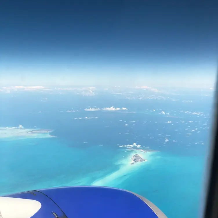 J. Alexander's Franklin Updated 2024, Contemporary American