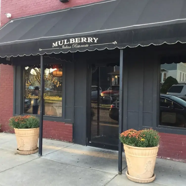 Mulberry Italian Ristorante NY Lackawanna