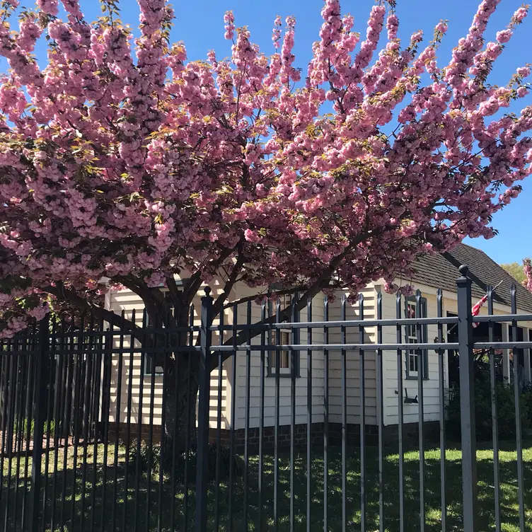 Osprey Point Restaurant Rock Hall, MD OpenTable