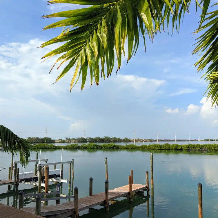Restaurante Angler & Ale at Hawks Cay Duck Key, , FL OpenTable