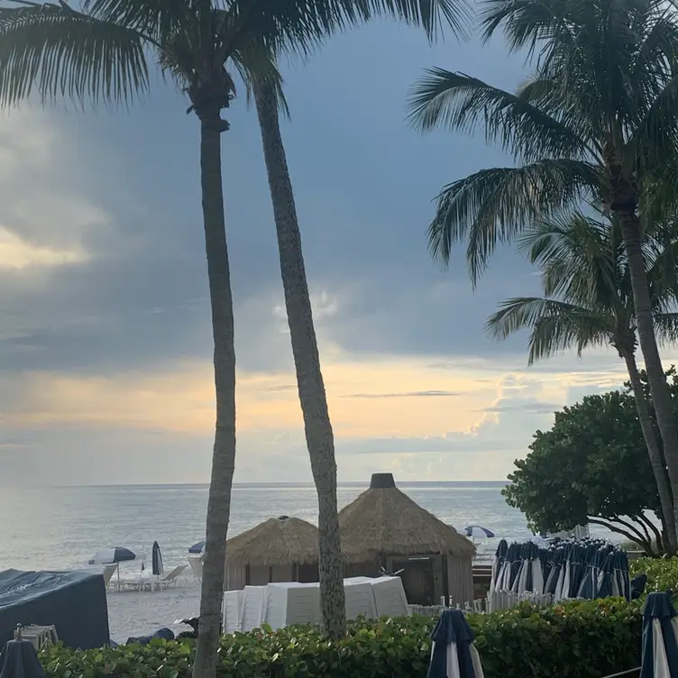 BALEEN Naples Restaurant Naples, FL OpenTable