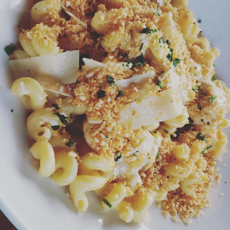 Rock Bottom Brewery Restaurant Yorktown Lombard, IL OpenTable