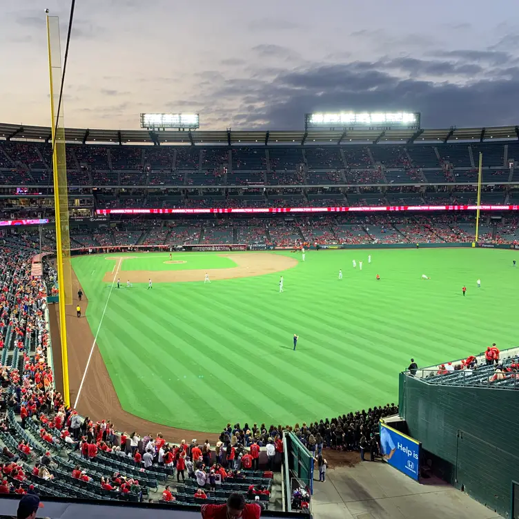 Section 243 at Globe Life Field 