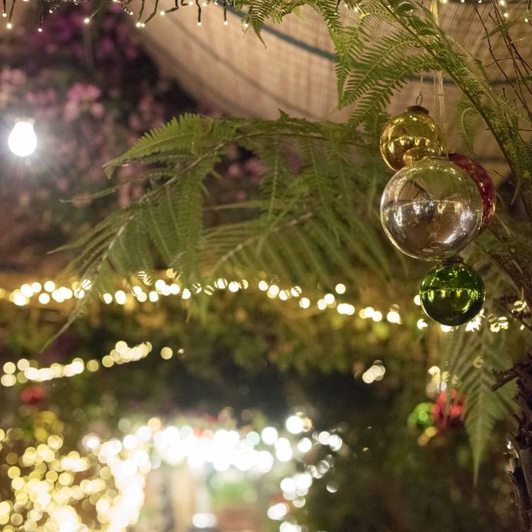 Open Table Christmas 2022 Petersham Nurseries Cafe Richmond Restaurant - Richmond, , Greater London |  Opentable